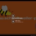 Facebook - benutzerdefinierter Handlungsaufruf beim Video Titelbild - PR Agentur Bremen