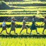 Crowdmarketing schlägt Marktforschung - oder nicht - Newsletter 01-2018