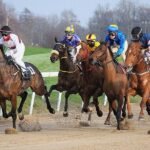 Wer gewinnt? Der eigene Blog! PR-Newsletter 08/2018